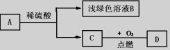 金属素养评价试题