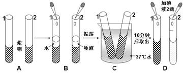 2012初中生物中考测试模拟题