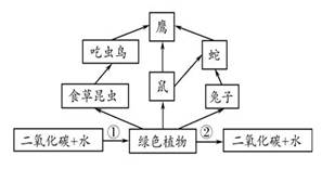 2010年潍坊市初中学业水平考试《生物试题》