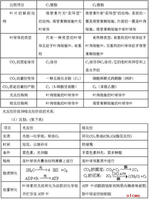 高考生物辅导： 高考生物易错笔记整理（4）