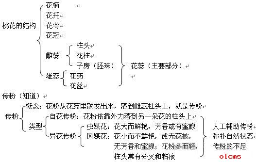 初三生物知识点（2）