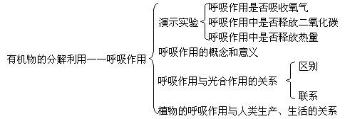 有机物的分解利用-呼吸作用教案设计