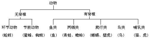 尝试对生物进行分类课后练习题答案