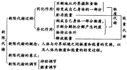 新陈代谢教案设计