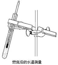 营养物质教案设计