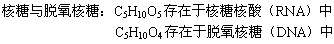 组成生物体的化合物高中二年级教案