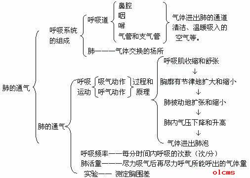 肺的通气教案设计