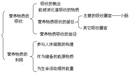 营养物质的吸收和利用教案设计