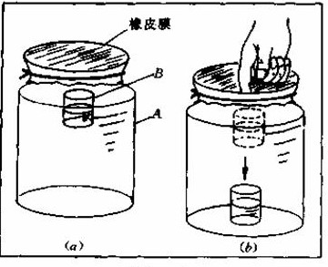 笛卡尔沉子实验